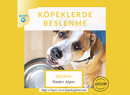 Köpeklerde Beslenme