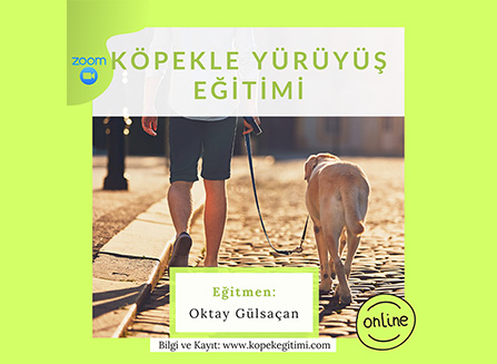 Köpekle Yürüyüş Eğitimi