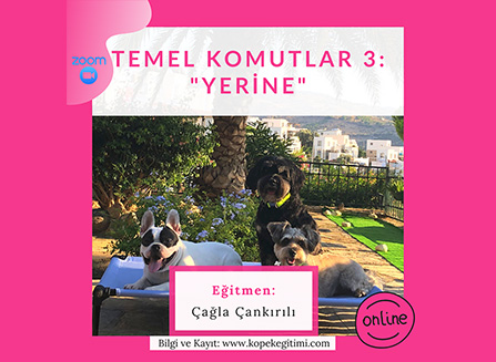 Temel Komutlar 3: “Yerine”